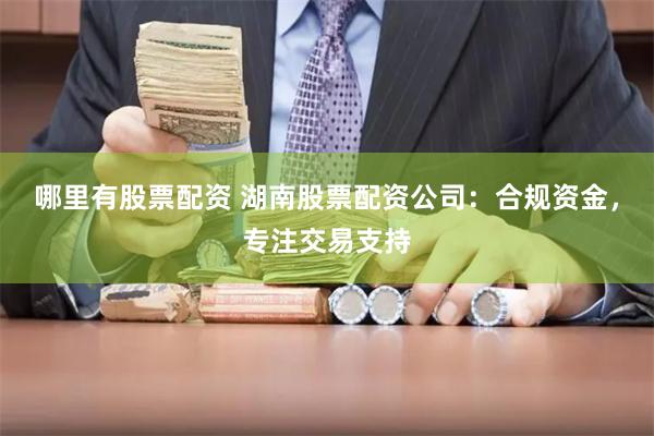 哪里有股票配资 湖南股票配资公司：合规资金，专注交易支持